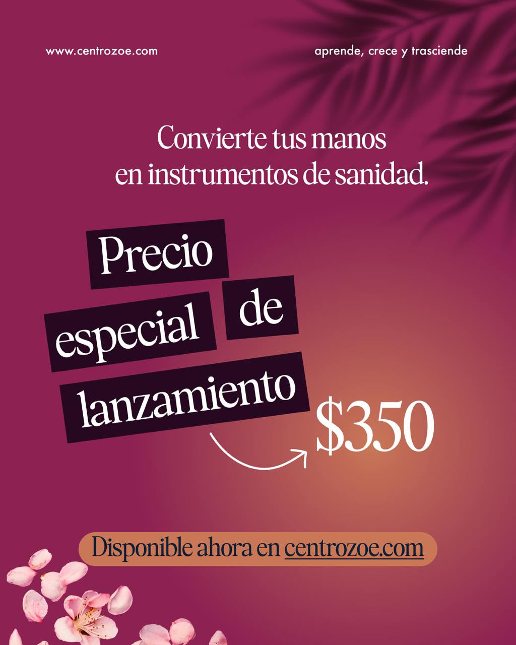 Masaje Ancestral: Sanidad y bienestar en tus manos - Masterclass por Sarahí Villanueva